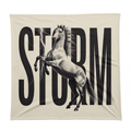 STORM